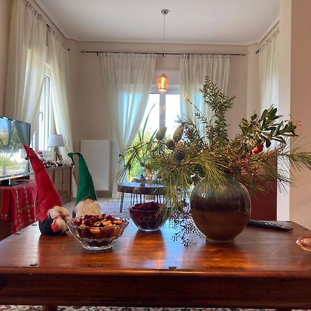 Brina'S Luxury Apartments Agioi Apostoloi  Luaran gambar